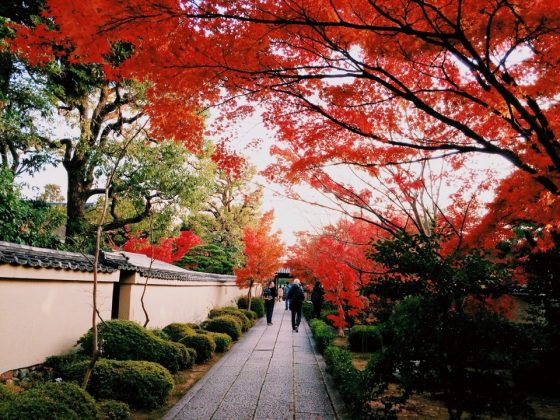 Daitoku-ji Temple and garden kyoto (1)