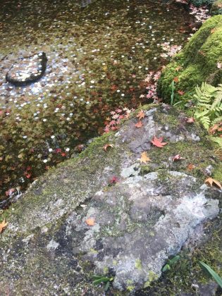 Ginkaku-ji Temple and garden kyoto (1)