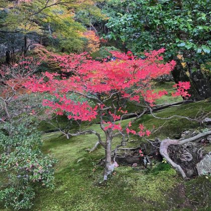Ginkaku-ji Temple and garden kyoto (1)