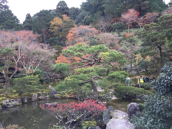 Ginkaku-ji Temple and garden kyoto (1)
