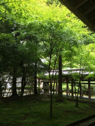 Ryoan-ji Temple garden kyoto (1)