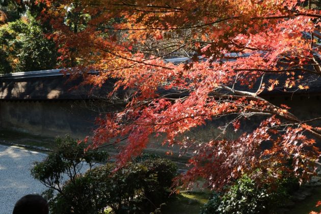 Ryoan-ji Temple garden kyoto (1)
