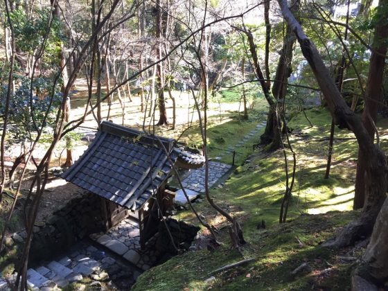 Saiho-ji garden kyoto (19)