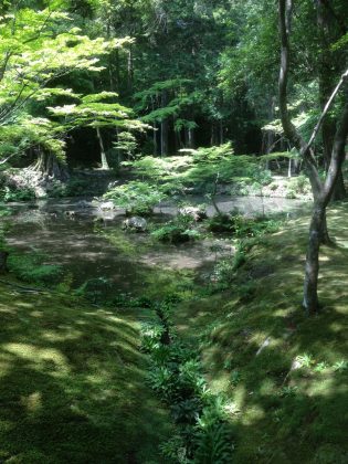 Saiho-ji garden kyoto (19)