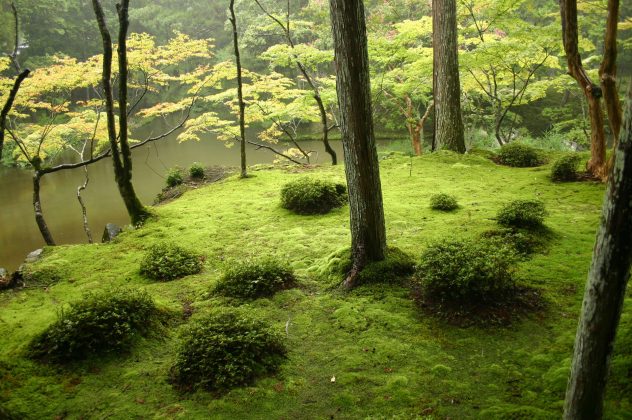 Saiho-ji garden kyoto (19)