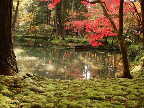 Saiho-ji garden kyoto (19)