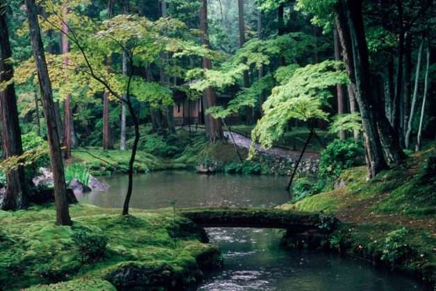 Saiho-ji garden kyoto (19)
