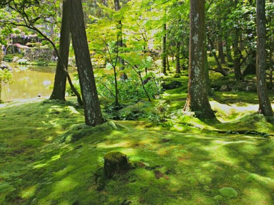 Saiho-ji garden kyoto (19)