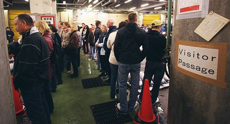 how to visit tsukiji market
