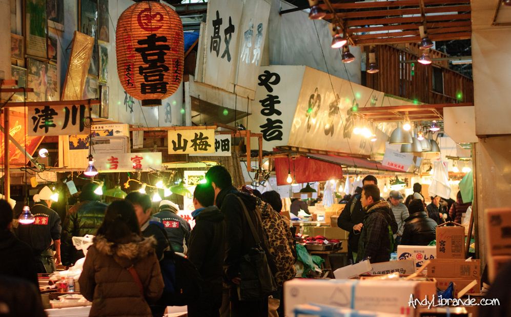 tokyo tsukiji market tour english