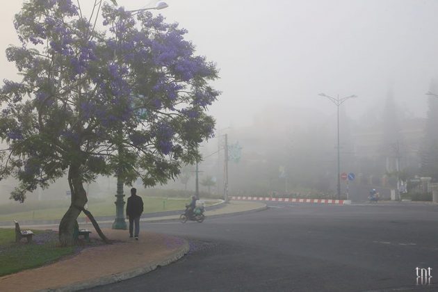 dalat photos cloudy (12)