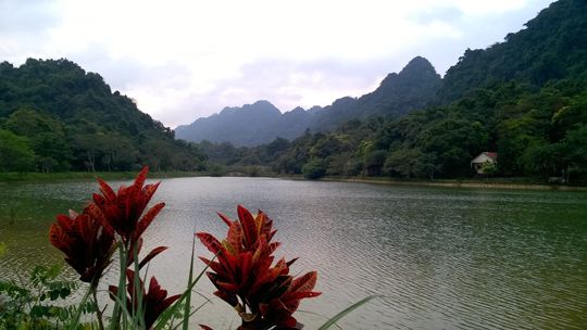 Cuc Phuong National Park
