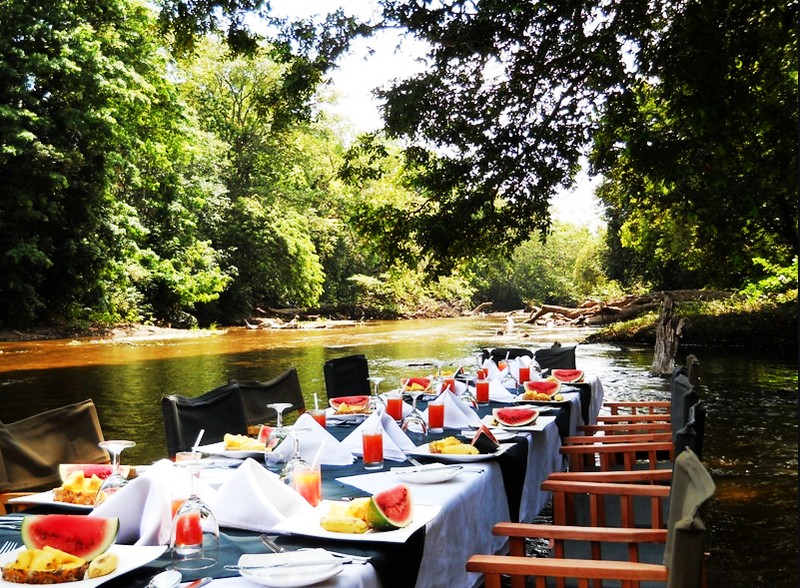 Luxuary tented camping in Sri Lanka (2)