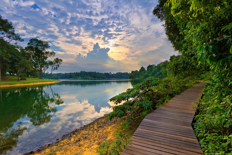 MacRitchie Park. Photo by Spintheday
