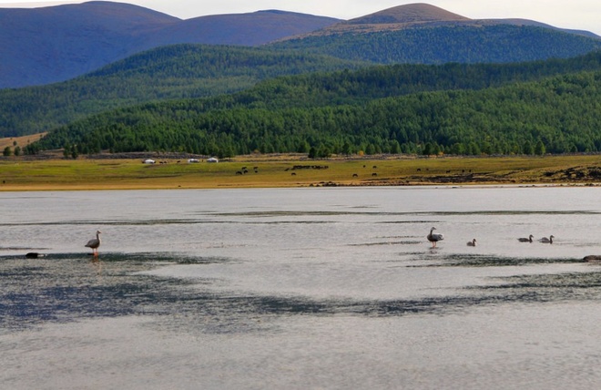 Mongolia-steppe-3