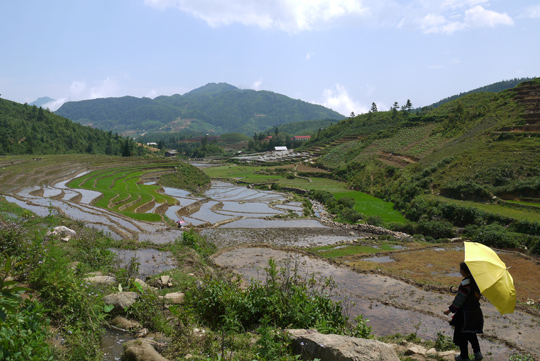 Sapa northwest vietnam