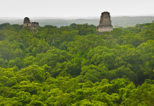 8 mysterious Tikal facts you should know The-top-of-Temple-IV