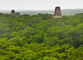 The-top-of-Temple-IV