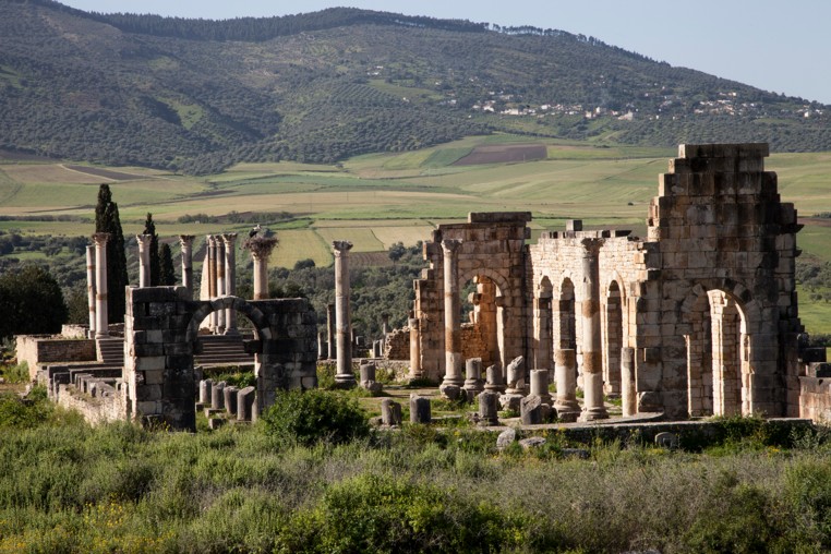 Volubilis ruins morocco 3