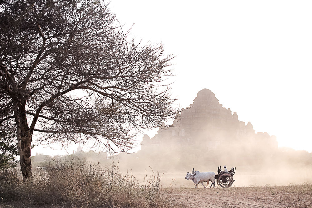 Photo by Thang Le