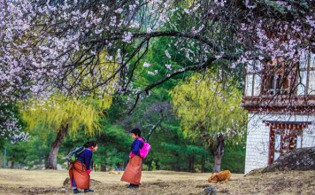 10 reasons why you should visit Bhutan this year Spring in Bhutan