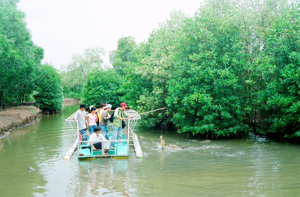 Interesting crocodile fishing activity