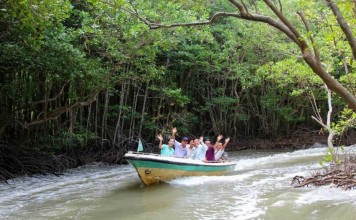 Can Gio travel guide — An ideal destination to spend the weekend near Saigon