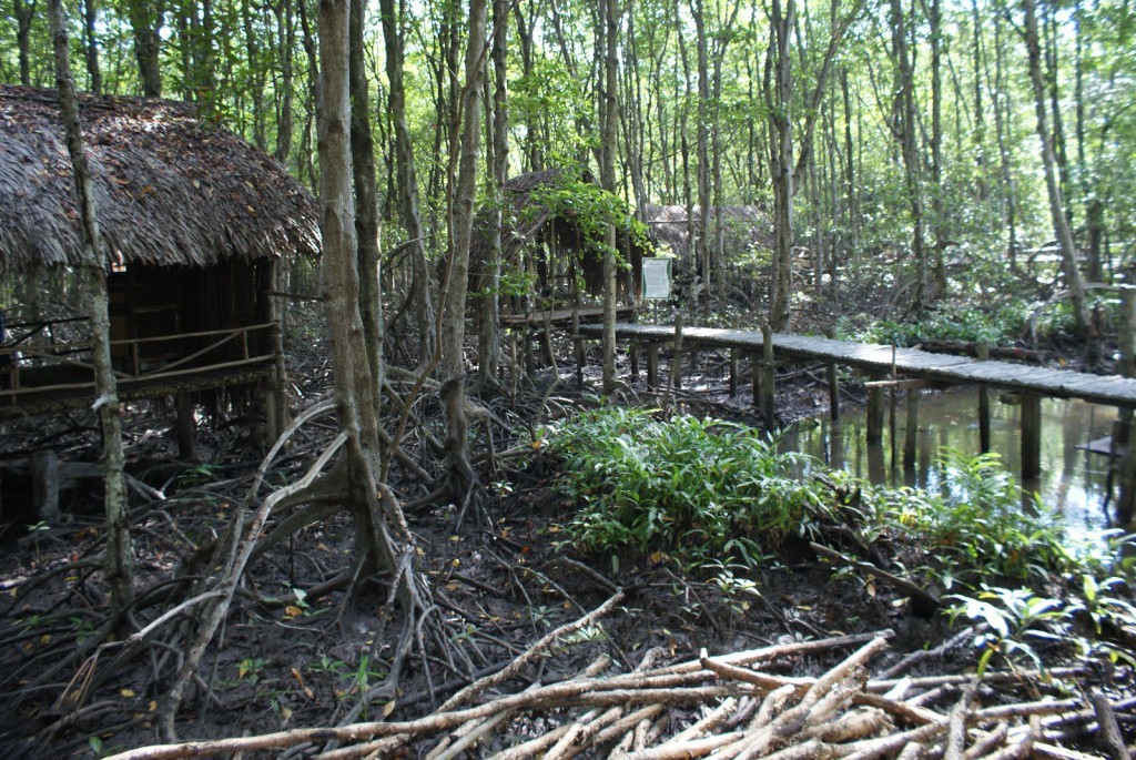 Or take a rest in the huts in the forest (Photo: worldteacher-andrea)
