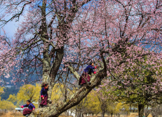 children-spring-bhutan-travel-guide-tourist-attractions-bhutan-travel-photos-pictures