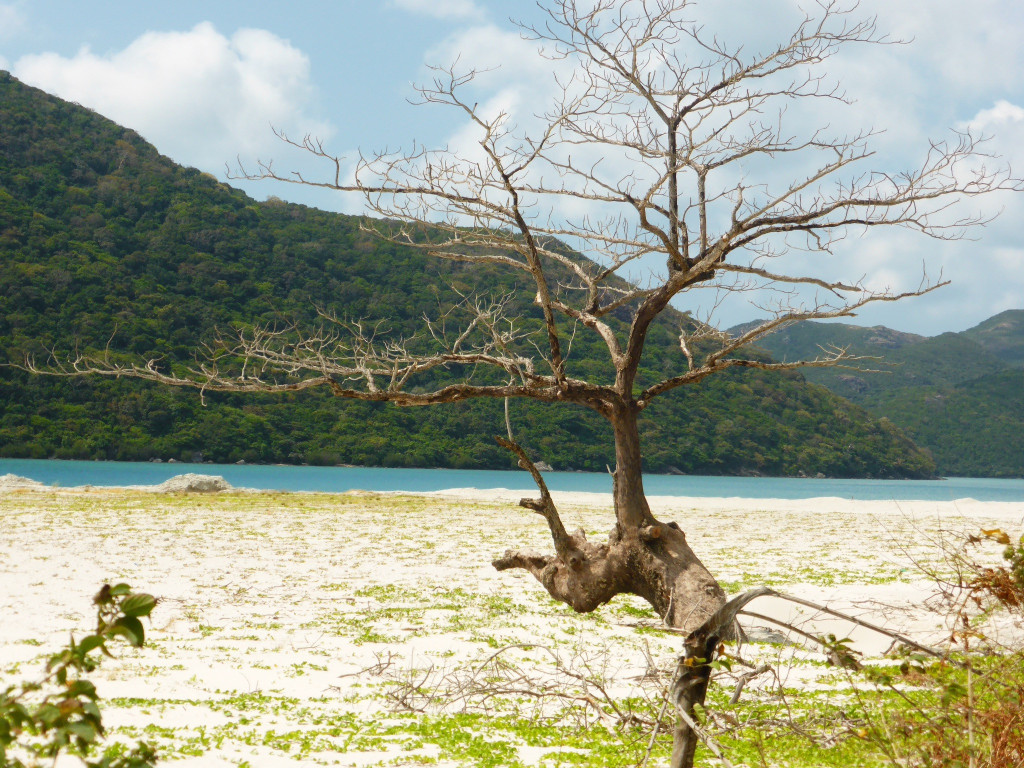 con-dao-island-3jpg