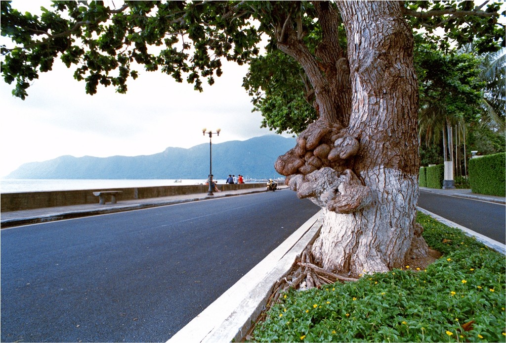 con-dao-island-6