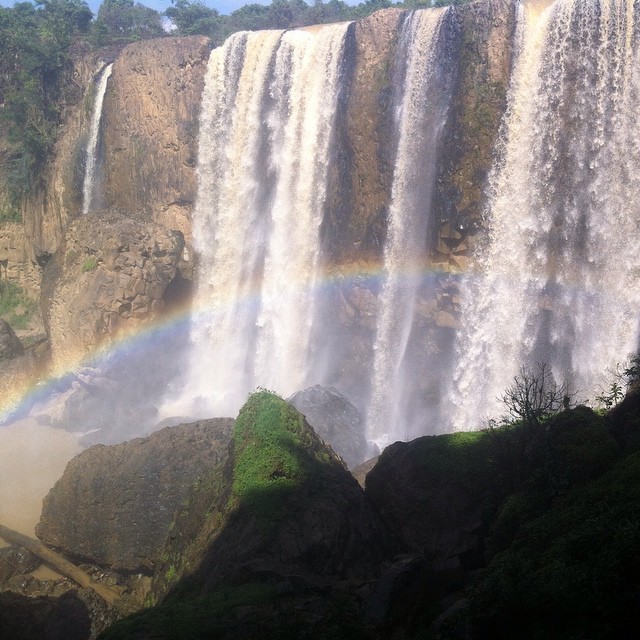 dalat3
