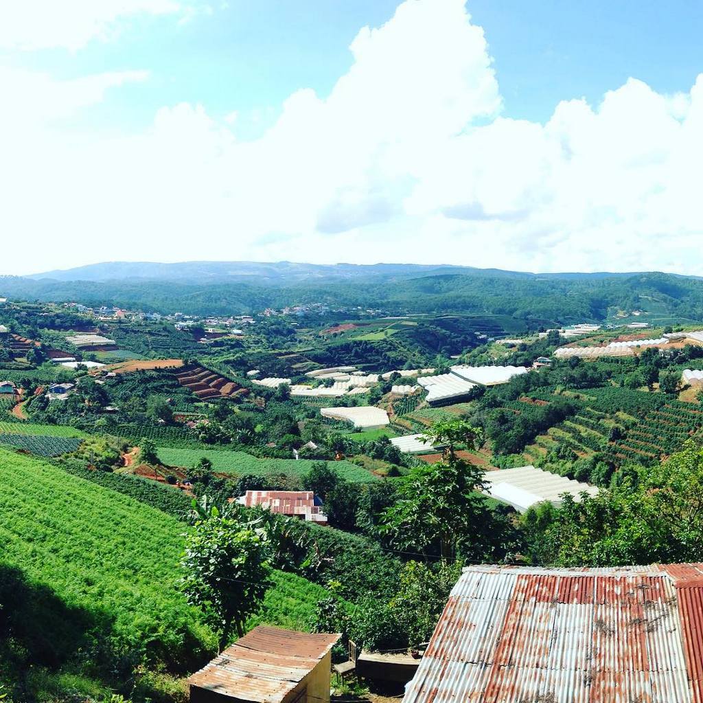 dalat8