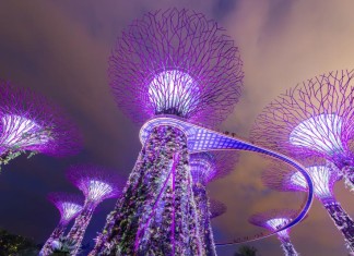 Super trees at Gardens by the Bay lit up at night Gardens by the Bay is Singapore’s latest prestige project and definitely worth a visit.