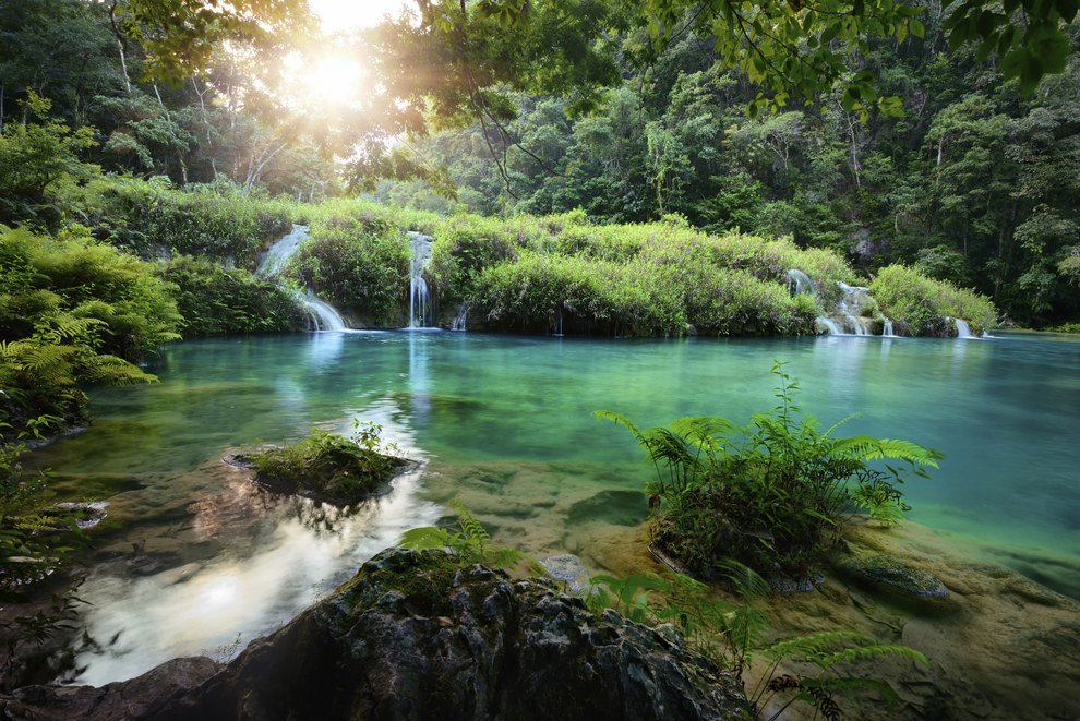 Soft_light / Getty Images