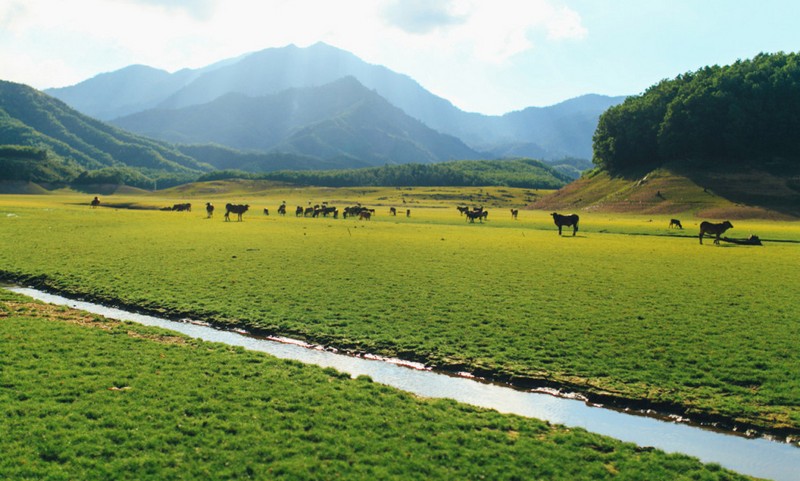 On days with shallow water, the lakeside area becomes larger and looks like vast peaceful steppes. Photo: ivivu.com