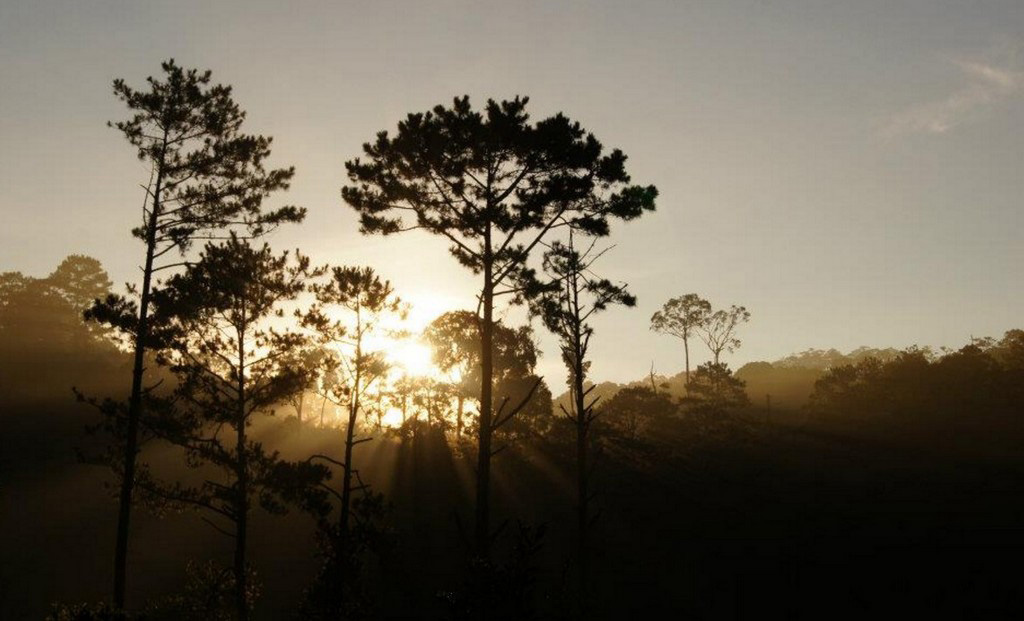 long-lanh-pass-dalat-lam-dong-vietnam-1
