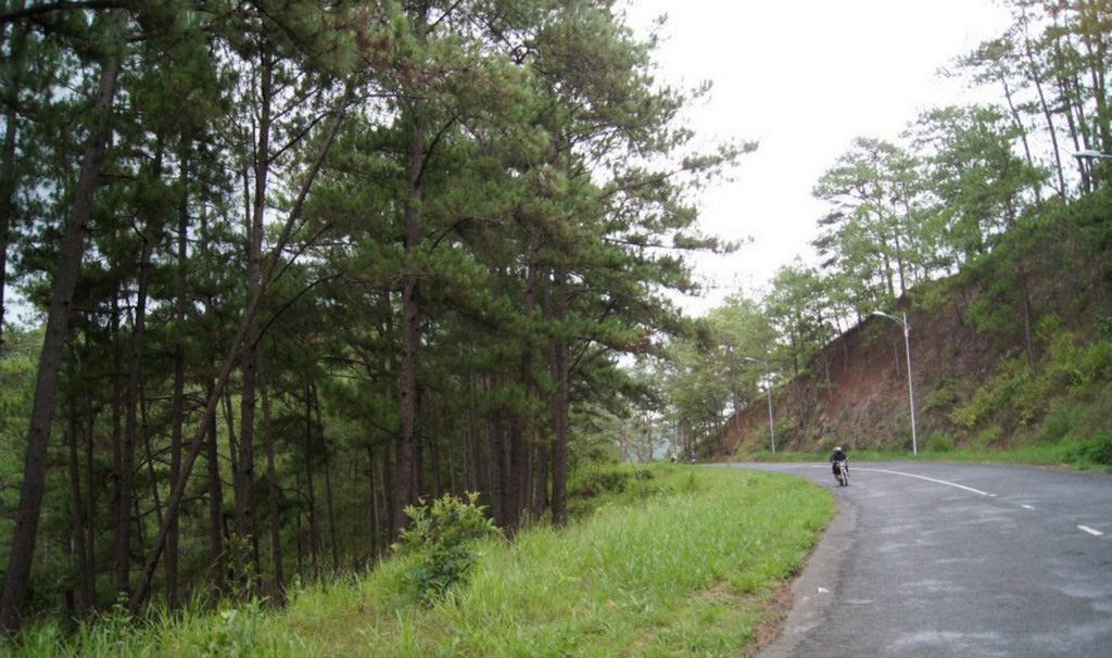 long-lanh-pass-dalat-lam-dong-vietnam-12