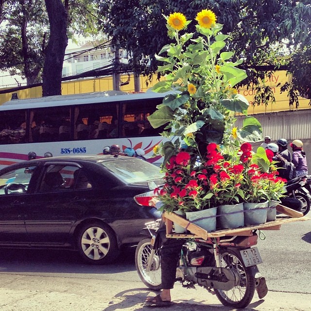 motorbike flowers saigon