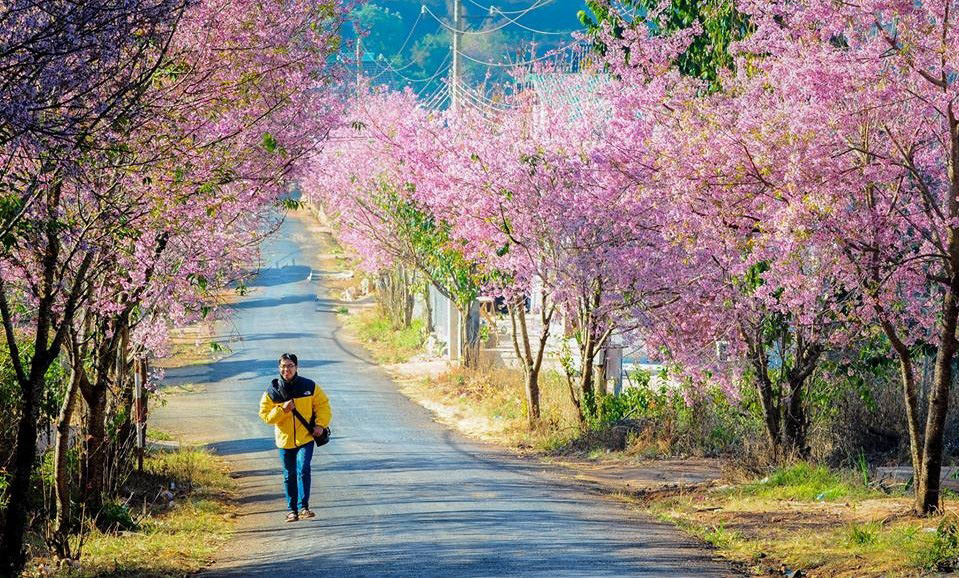 muoi-loi-valley-flowers-dalat-lam-dong-vietnam-e