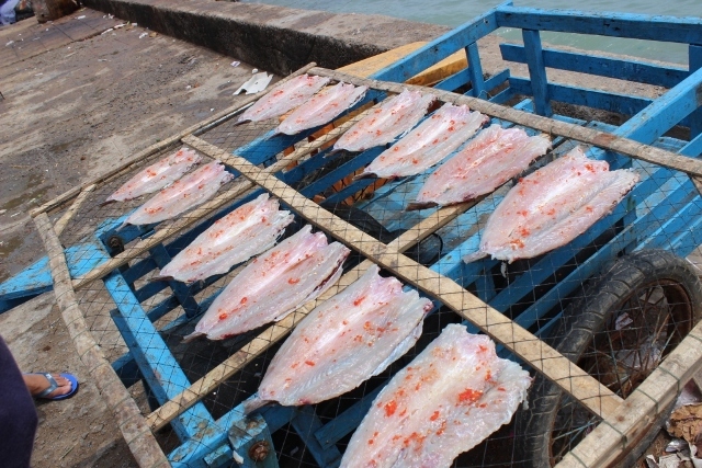 Dried sea fish appear in every corner of the island. Photo: tiendathoang.com