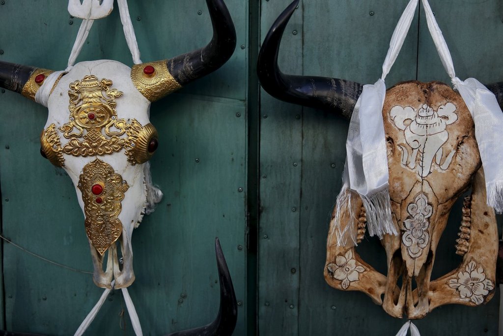 Damir Sagolj/Reuters