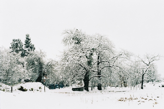 snow-in-kitakata1