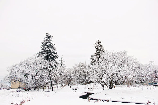 snow-in-kitakata3jpg