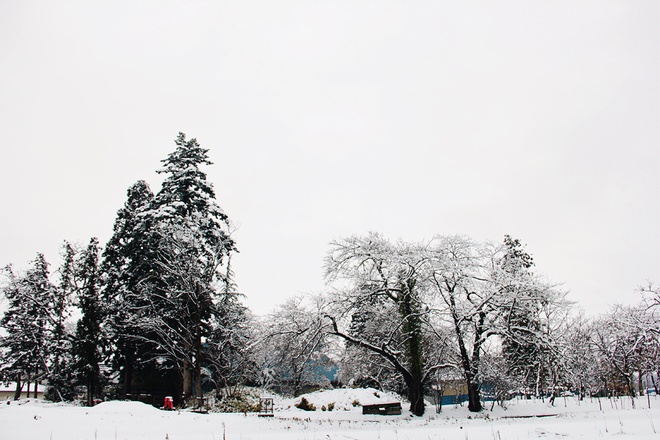 snow-in-kitakata5