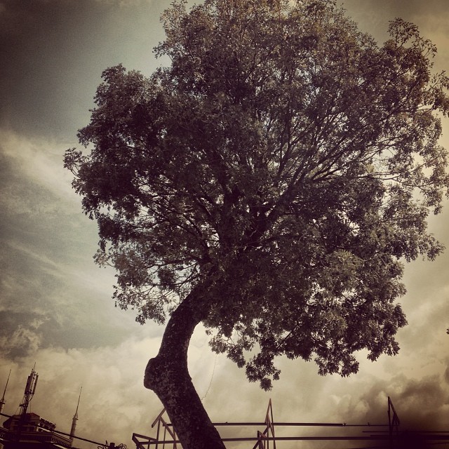 strees saigon