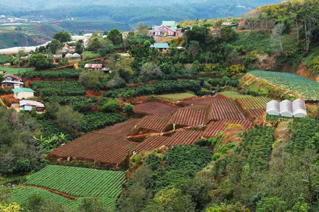 trai-mat-station-dalat-lam-dong-vietnam-tourist-attractions-cloude-hunting-32