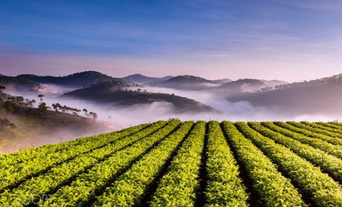 trai-mat-station-dalat-lam-dong-vietnam-tourist-attractions-cloude-hunting-b