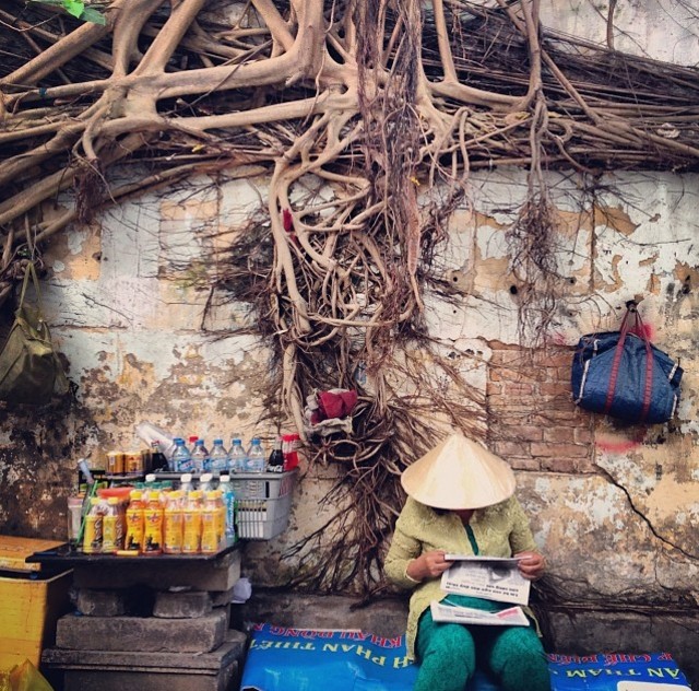 trees in saigon