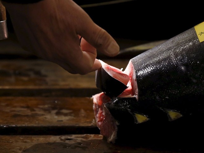 tsukiji-fish-market-tokyo-japan-5